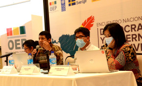 Analistas consideran que la representación de los indígenas en gobiernos departamentales está disminuida