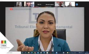 El TED y Serecí Santa Cruz ponderan Elecciones Subnacionales y campañas de educación y de trámites registrales