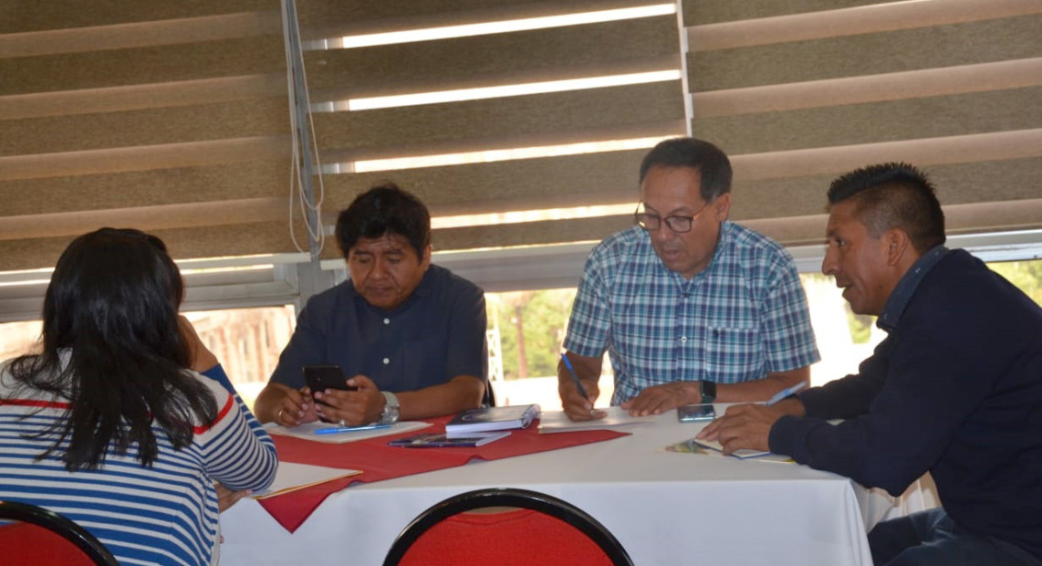 Alternos y titulares