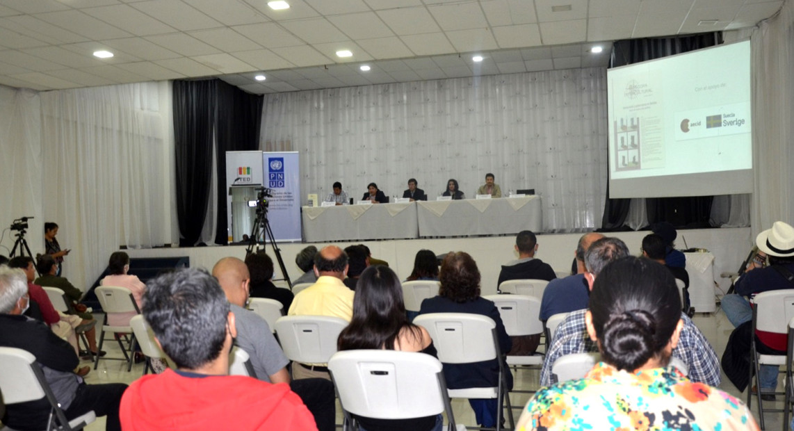 TSE_PNUD_BITACORA_04