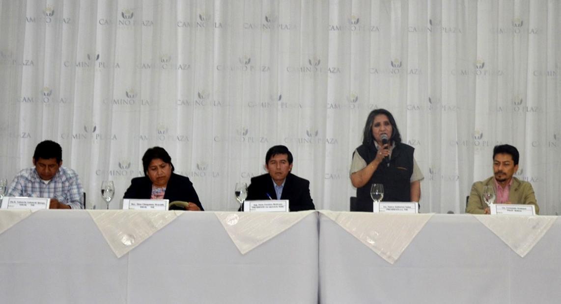 TSE_PNUD_BITACORA_06