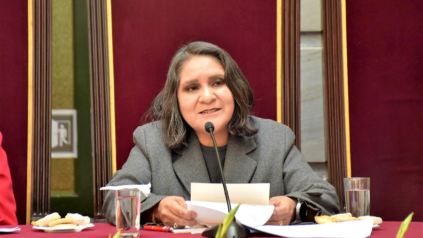 Vicepresidenta del TSE