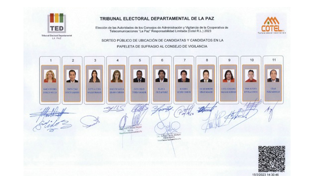 CONSEJO DE VIGILANCIA