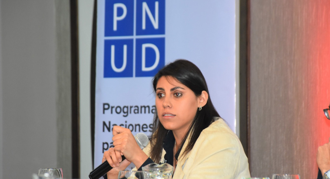 TSE PNUD BITACORA 04