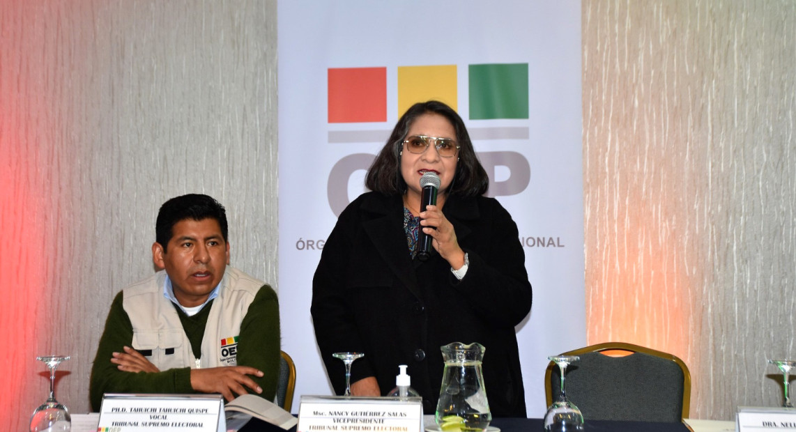 TSE PNUD BITACORA 11