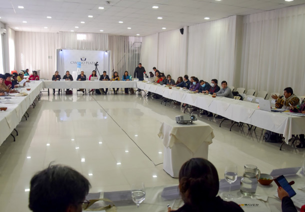 Autoridades del TSE-OEP definen una agenda de trabajo para prevenir el acoso y la violencia política