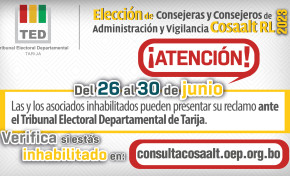 Elecciones Cosaalt 2023: inhabilitados tienen plazo para presentar reclamos hasta el 30 de junio