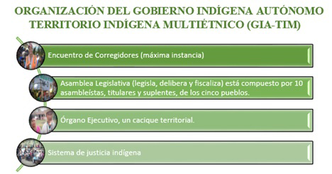 ORGANIZACION GIA TIM