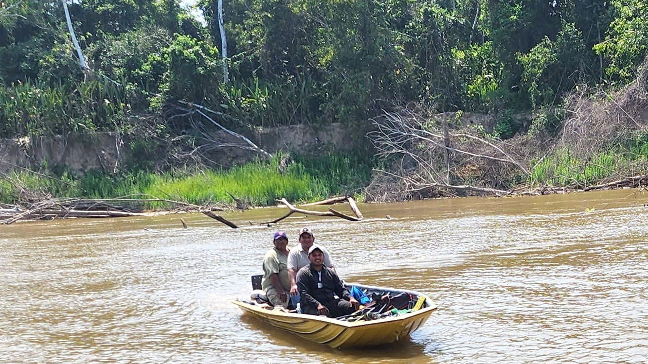 TED PANDO RIO ORTHON 1