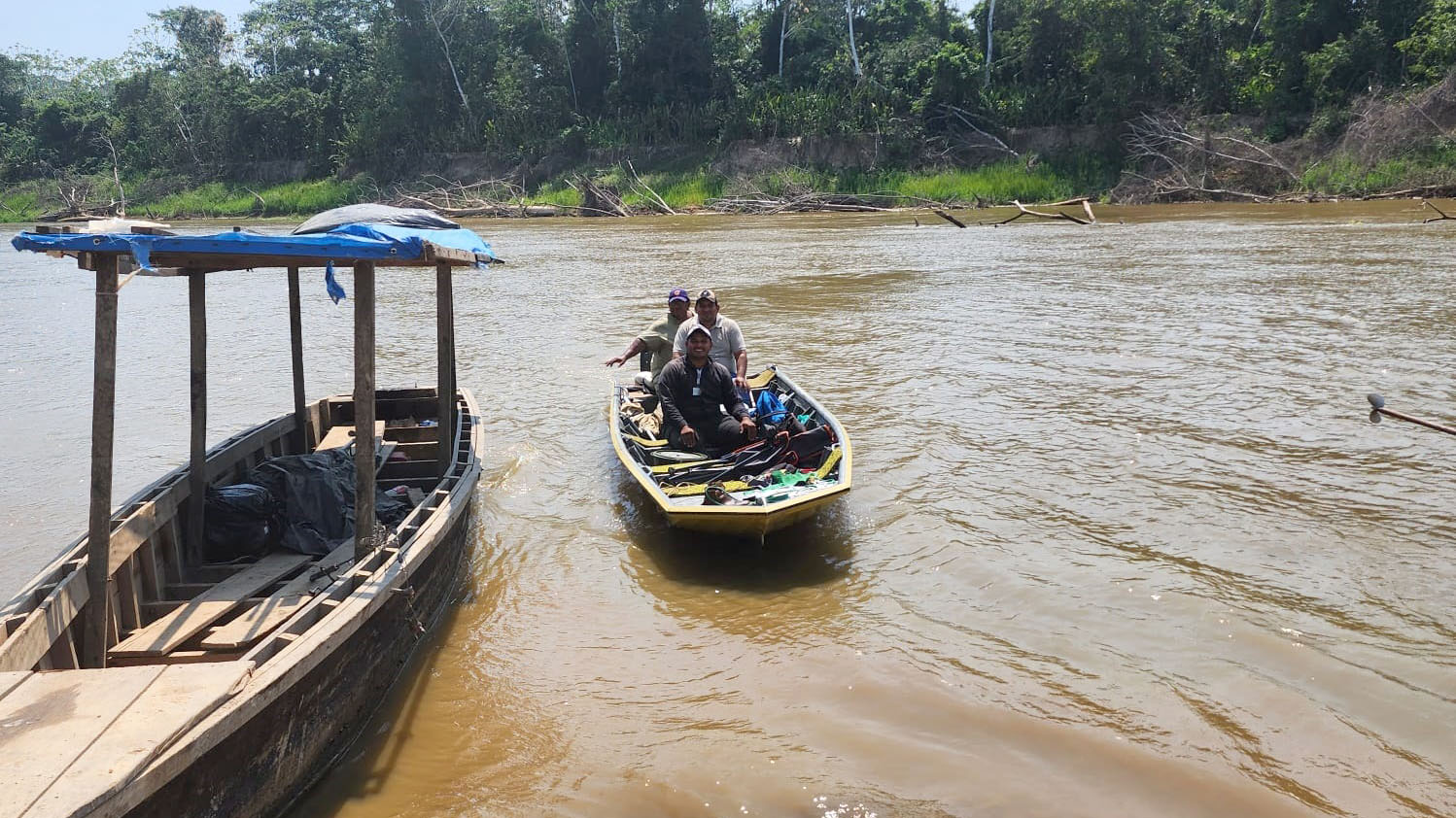 TED PANDO RIO ORTHON 2