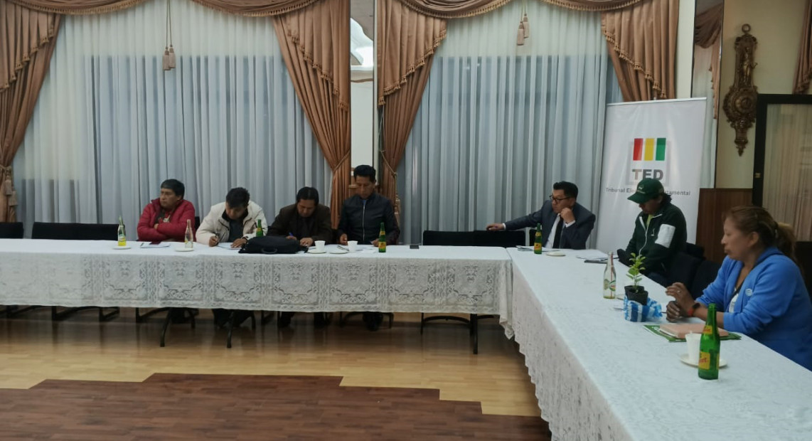 TED POTOSI MESA MULTIPARTIDARIA 07