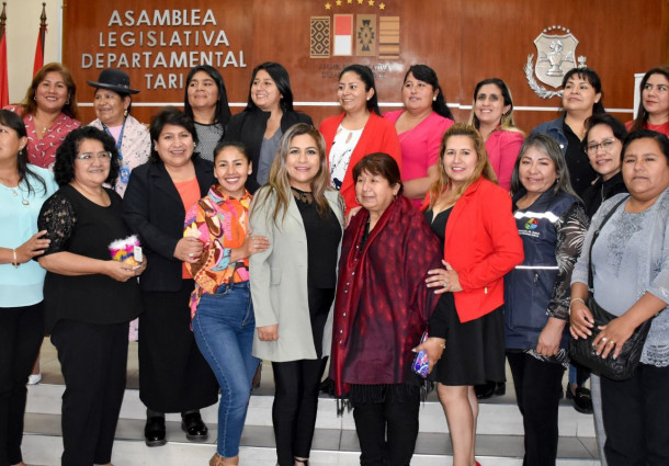 Tarija: “Seguimos socializando la Ley 243 contra el Acoso y la Violencia Política”, ahora  ante la Legislativa  Departamental