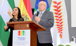 TSE reafirma su compromiso con la democracia e invoca a la sociedad a contribuir a su consolidación