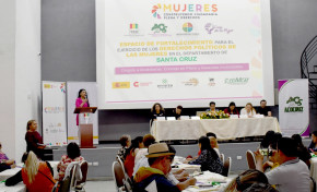 Concluye con un pronunciamiento en contra del acoso y violencia a las mujeres el taller organizado por el TED Santa Cruz y otras instituciones