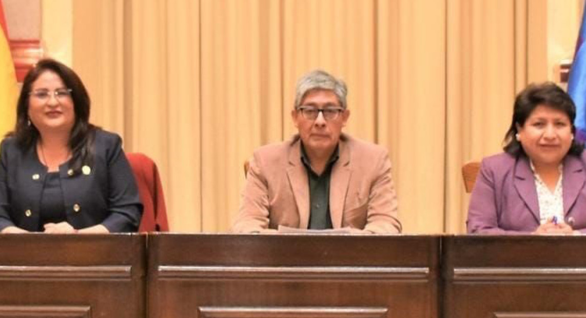 TSE VOCAL D. CHUQUIMIA 02