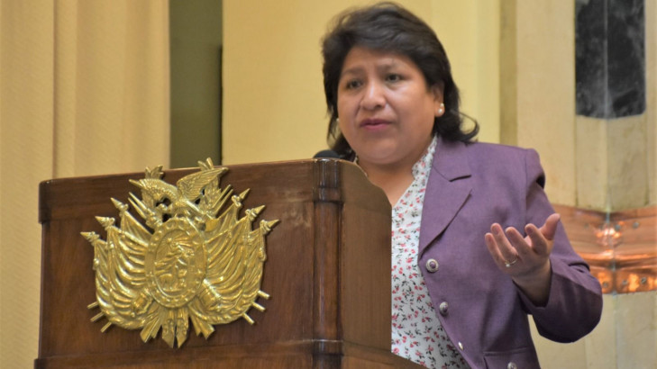 TSE VOCAL D. CHUQUIMIA 03