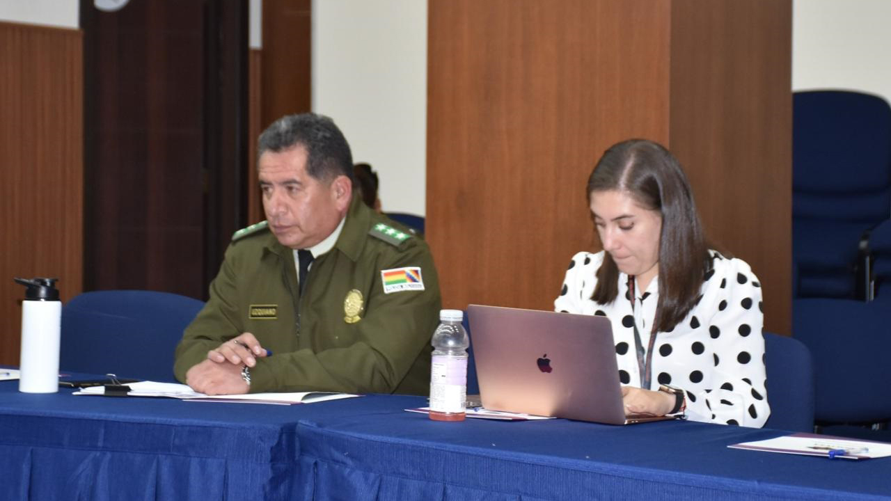 TSE VIO MECANISMO 02