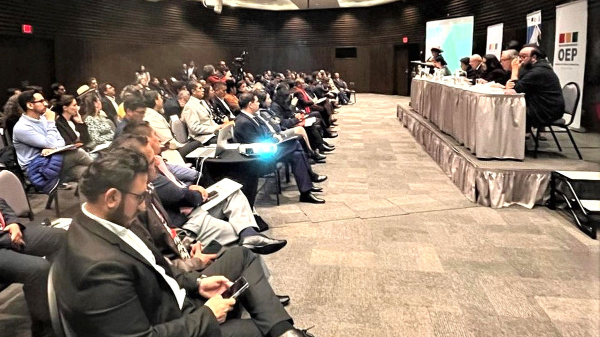 TSE-INFORME-DEM-INT-1-(3)