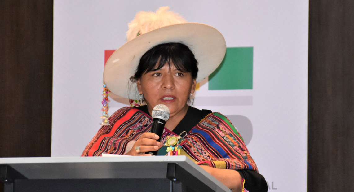 TSE-INFORME-DEM-INT-3