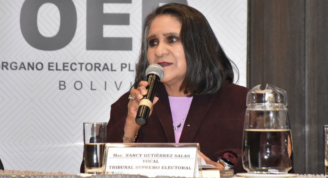 TSE-INFORME-DEM-INT-4