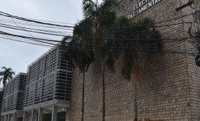 TED Santa Cruz: 12 de 33 organizaciones políticas renovaron sus directivas