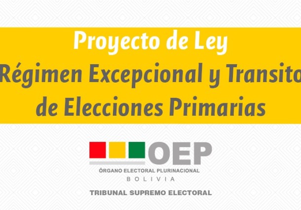 Conoce los motivos y alcances del proyecto de Ley de Régimen Excepcional y Transitorio de Elecciones Primarias