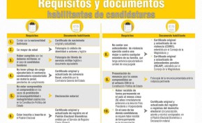 TSE aclara que inhabilitación de candidata se debe a incumplimiento del art. 238 de la CPE