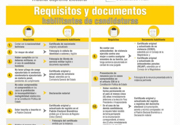 TSE aclara que inhabilitación de candidata se debe a incumplimiento del art. 238 de la CPE