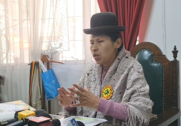 Elecciones Generales 2025: habilitan plataforma virtual para solicitudes de permisos de circulación vehicular