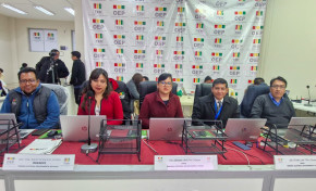 Potosí concluye el cómputo departamental del 100 % de las actas electorales