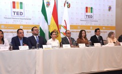 Santa Cruz: OEP promueve espacios de diálogo con representantes de la sociedad civil rumbo a la Reforma Electoral
