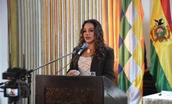 DÍA DE LA MUJER BOLIVIANA: TSE REPORTA 39 RENUNCIAS DE MUJERES Y 12 DENUNCIAS POR ACOSO Y VIOLENCIA POLÍTICA